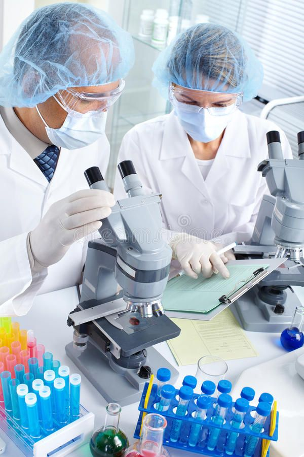 Our Expert Team